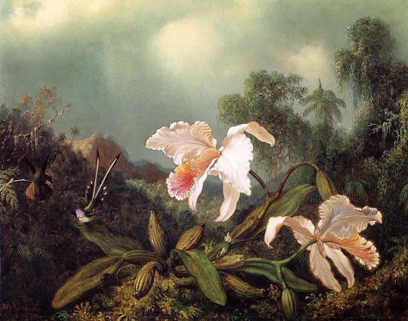 Martin Johnson Heade Jungle Orchids and Hummingbirds